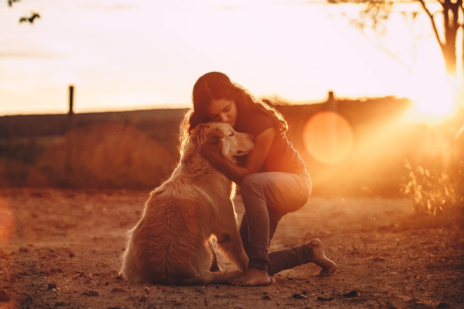 wyoming-emotional-support-animal-laws